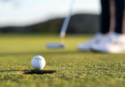 Golf in Napa: The Best Golf Courses to Play