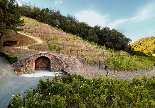 Pine Ridge Vineyards