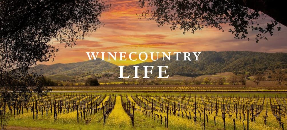 Vineyard and mountain view - Wine Regions