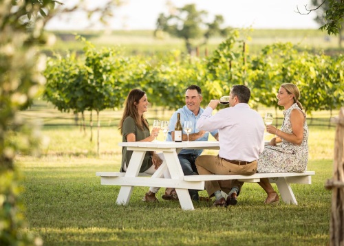 friends having outdoor picnic