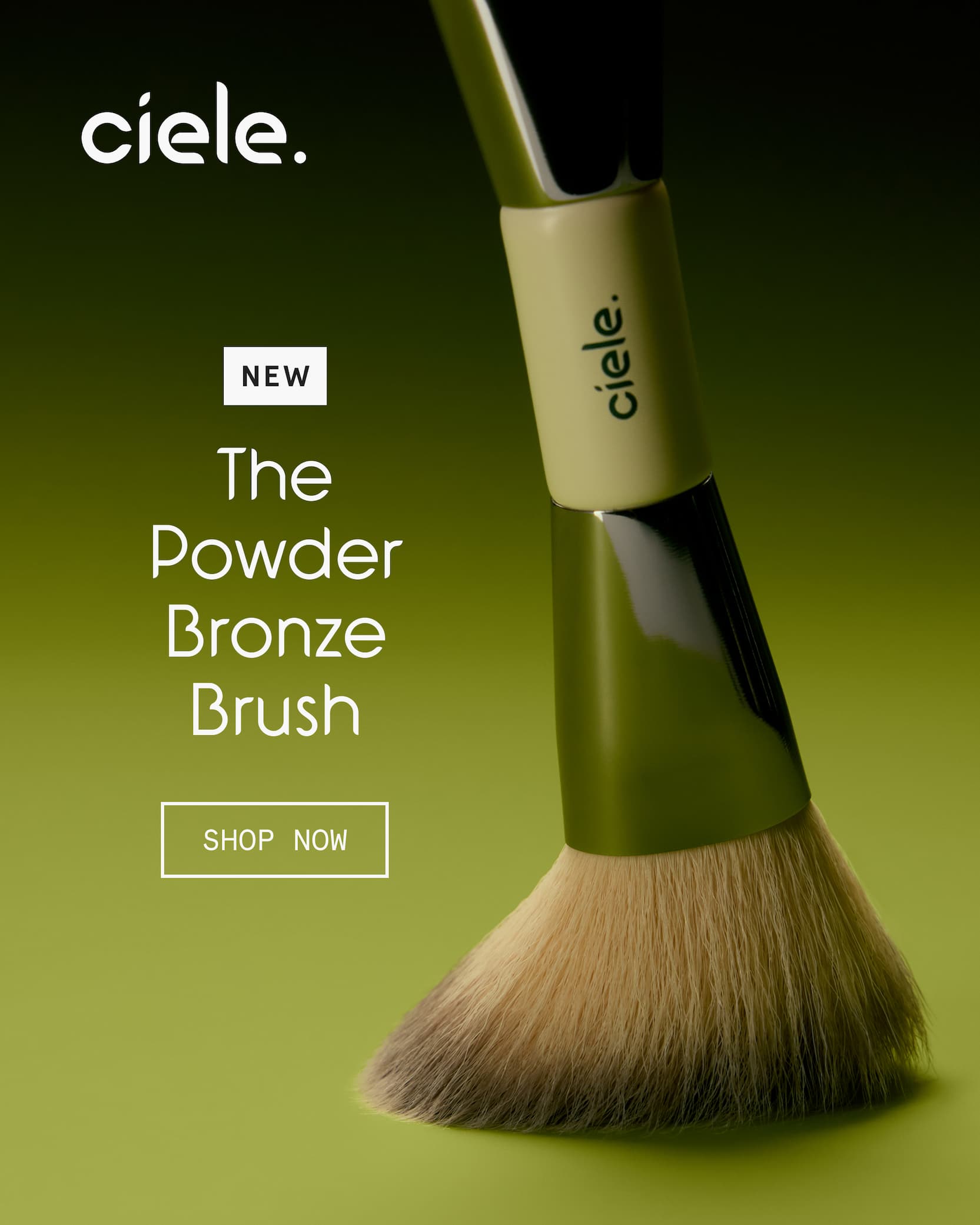 The new powder bronze brush