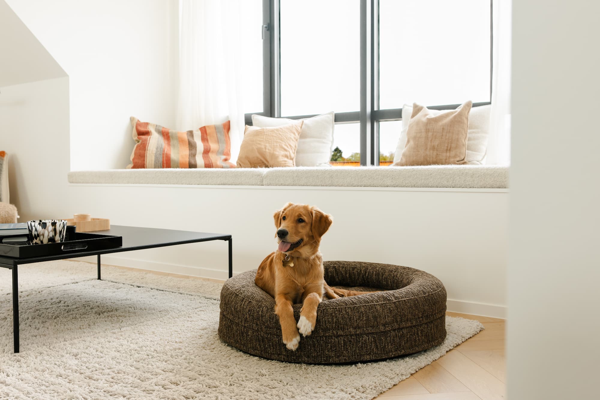 Lifestyle interior with Swirl Espresso Brown