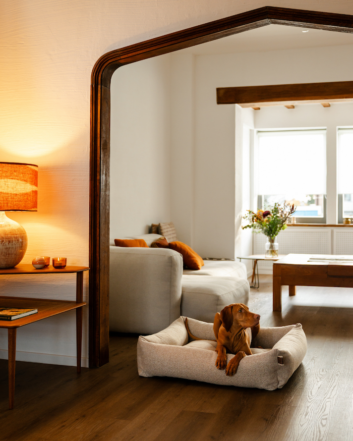 Lifestyle interior with Snug Endurance British Tan