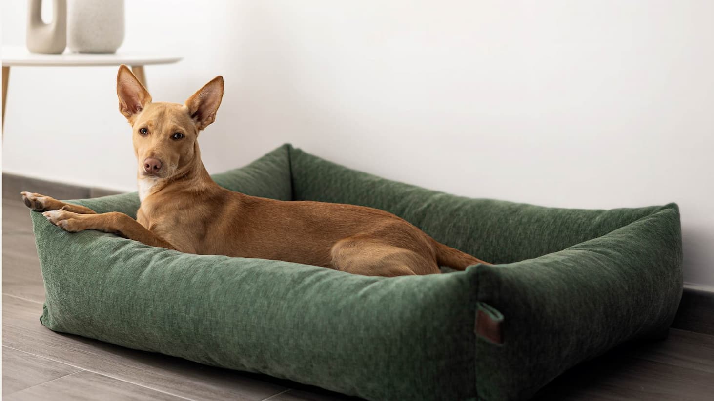 Dog resting in a soft bolstered bed