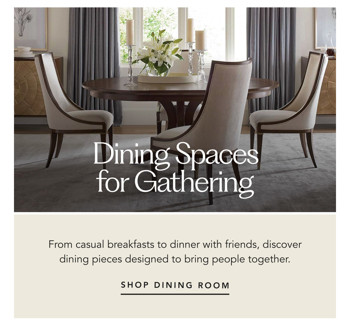 Shop Dining Room