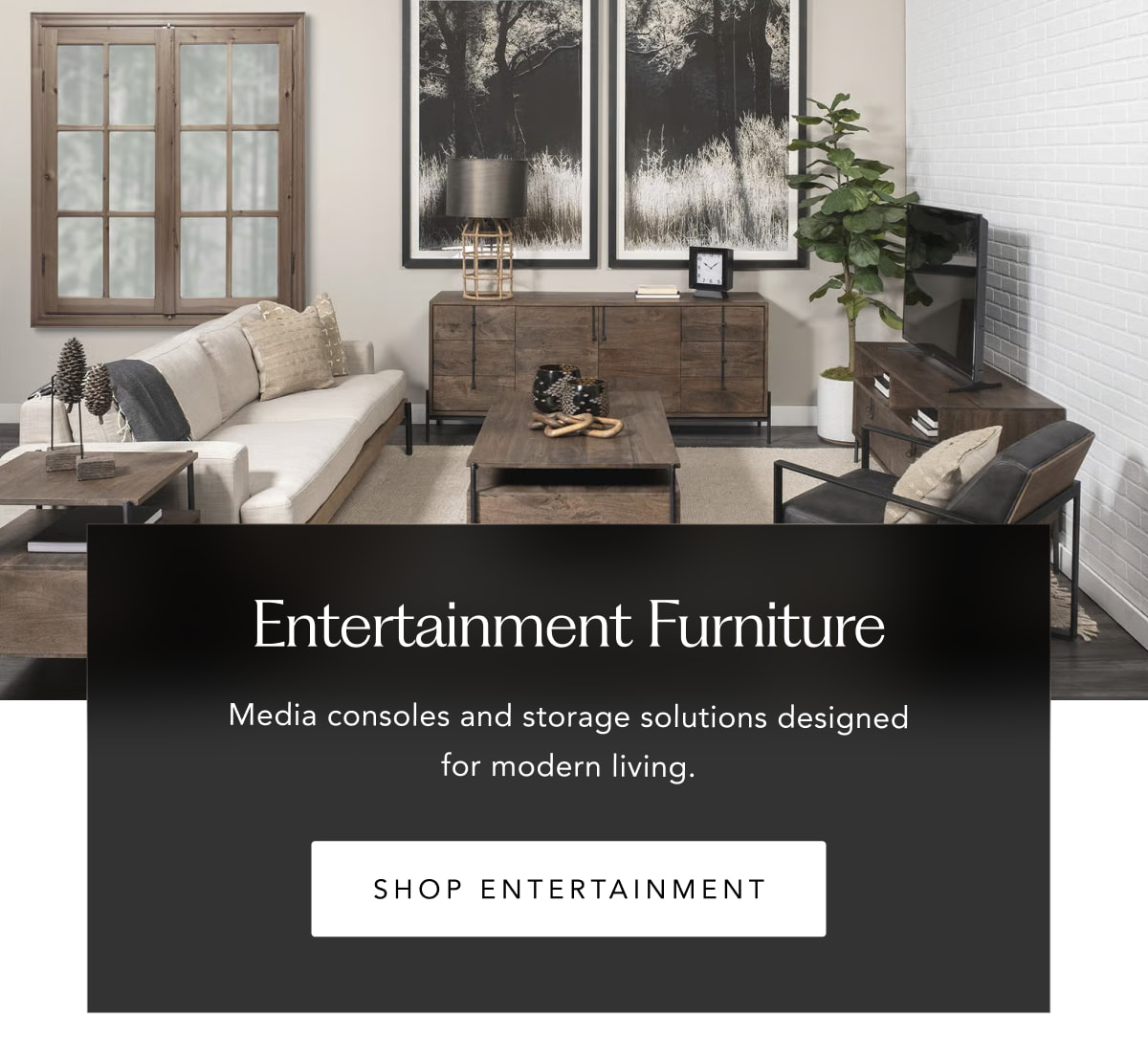 Shop Entertainment