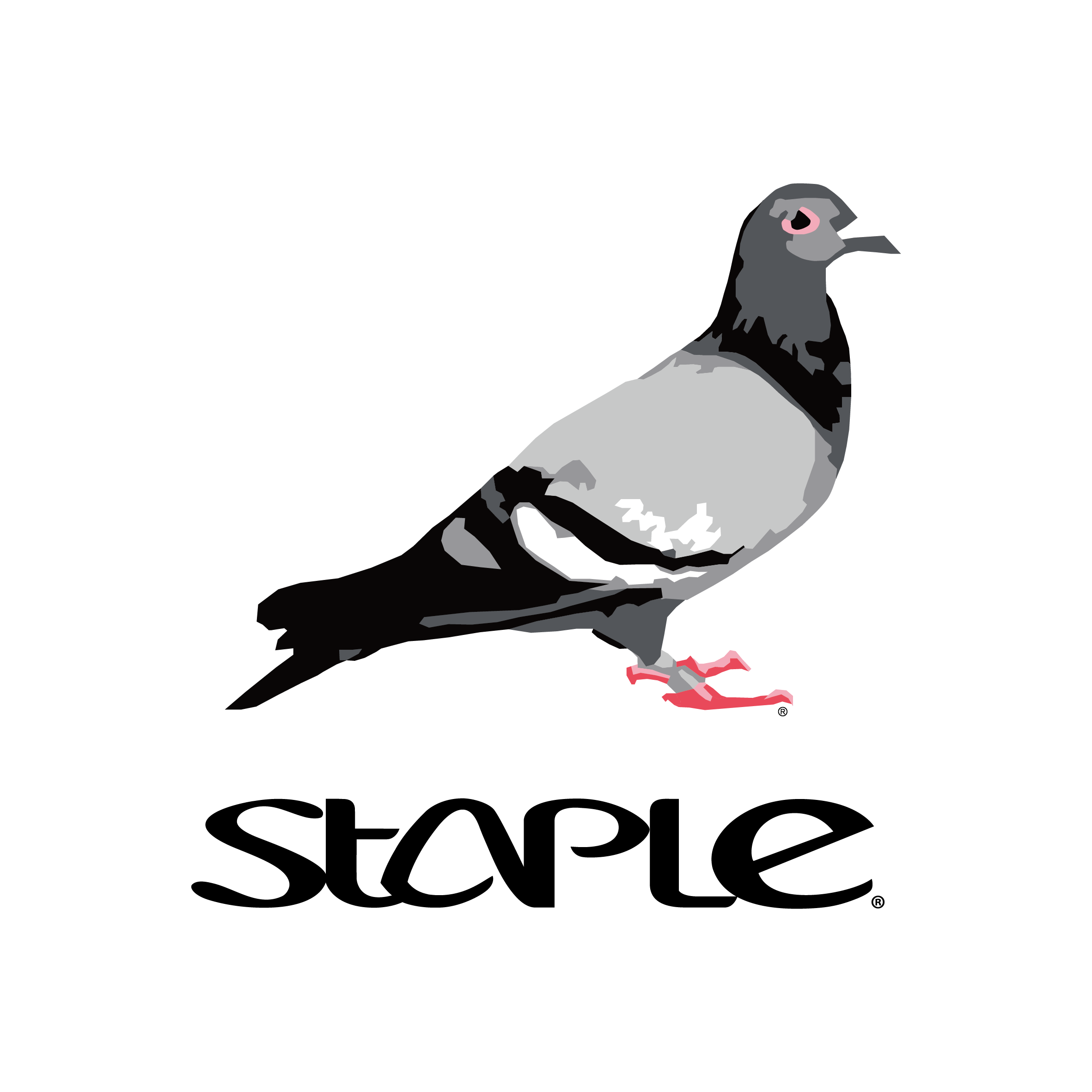 Staple Pigeon