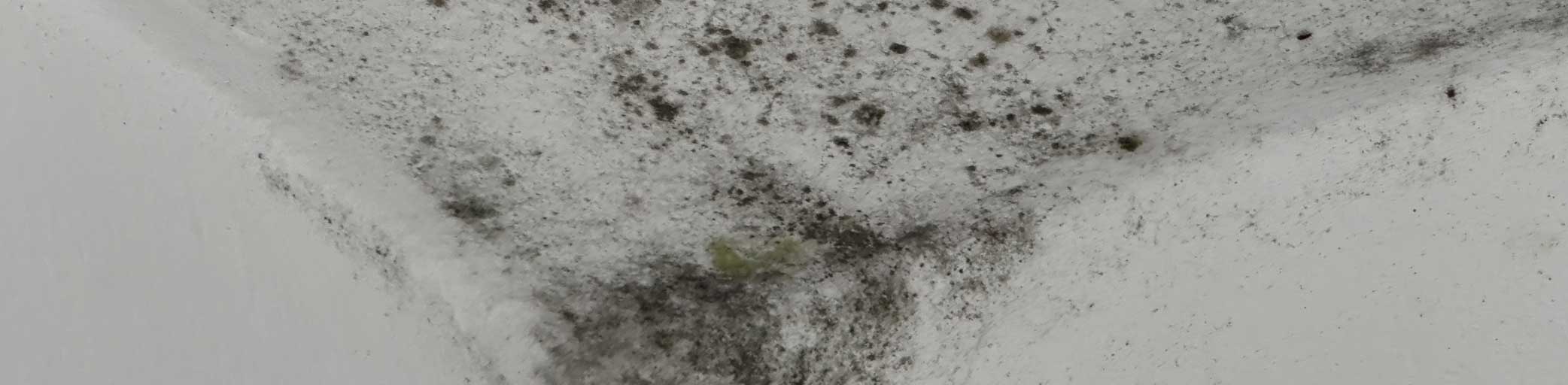 WellisAir device in a home setting