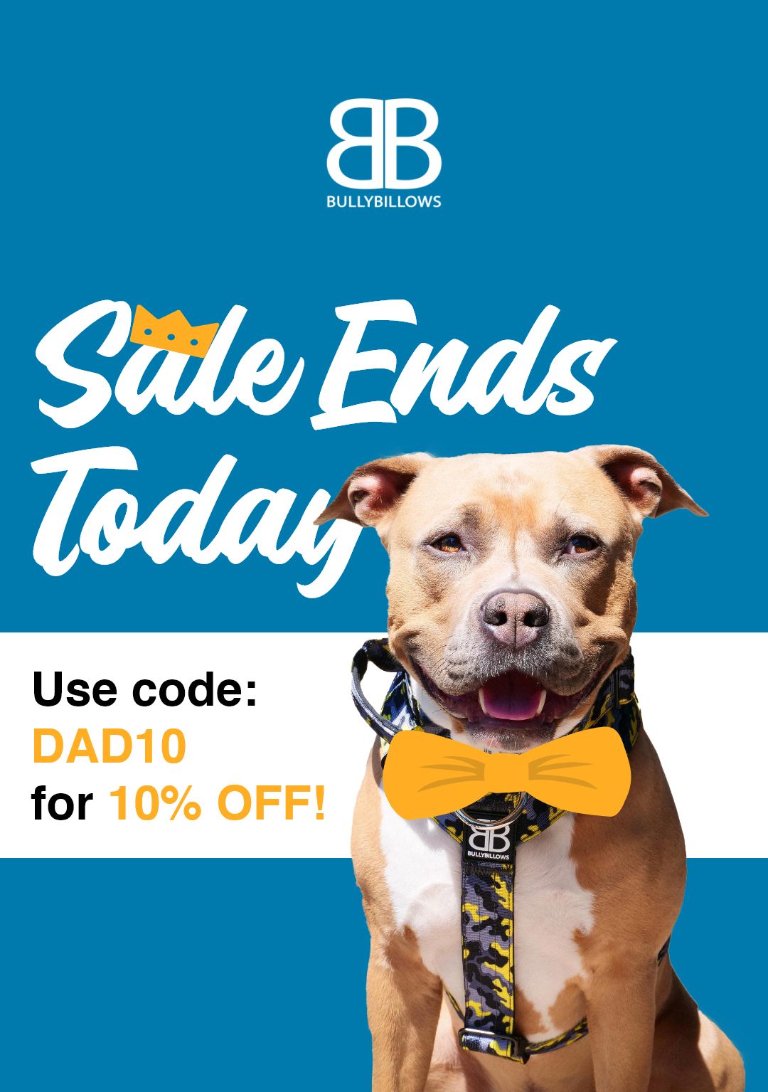 🚨 10 OFF Last day to claim! Bully Billows