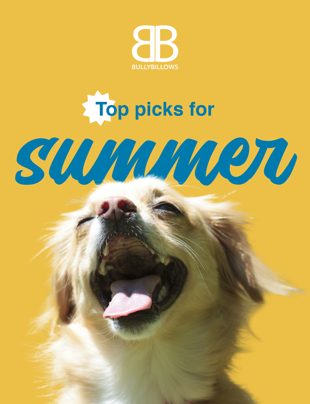 ☀️ Top picks for Summer Bully Billows