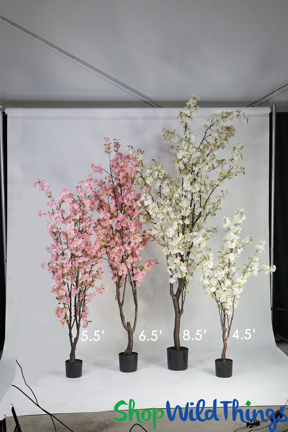 Large Flowering Trees