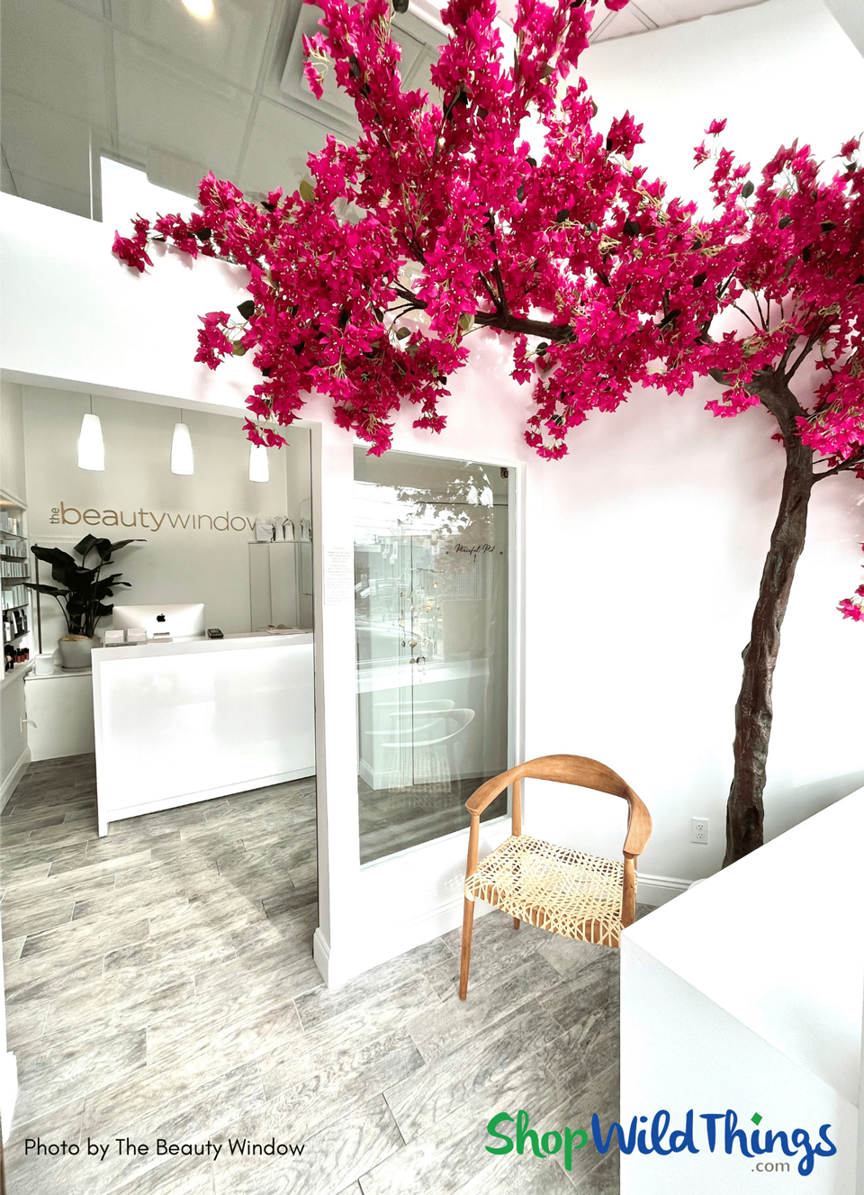 Sideswept Bougainvillea Tree in Salon