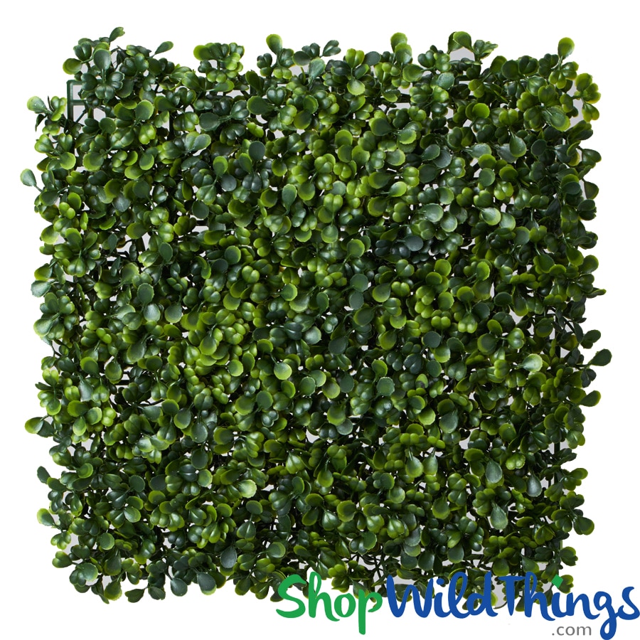 Restocked Greenery Walls