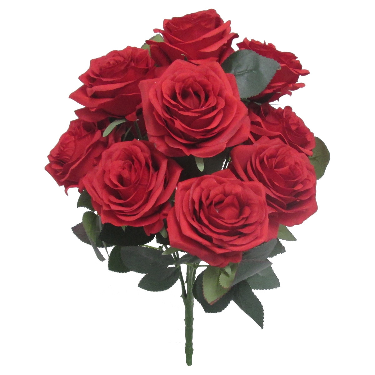 Rose Bushes