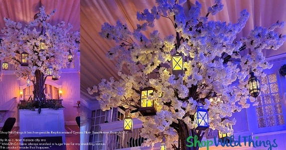 Branches to make trees