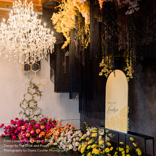 String Fringe Curtains & Columns