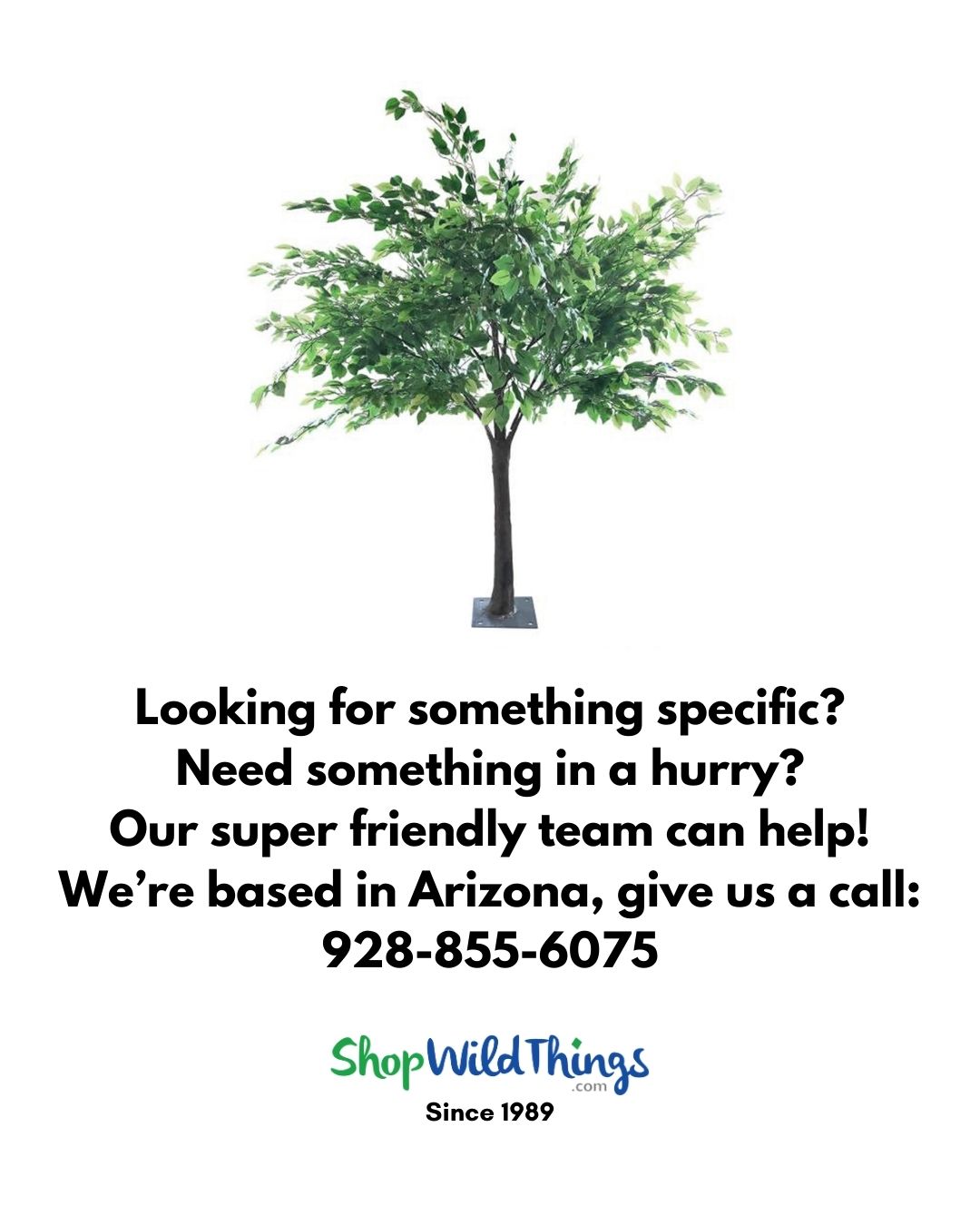 Link to Sideswept Trees