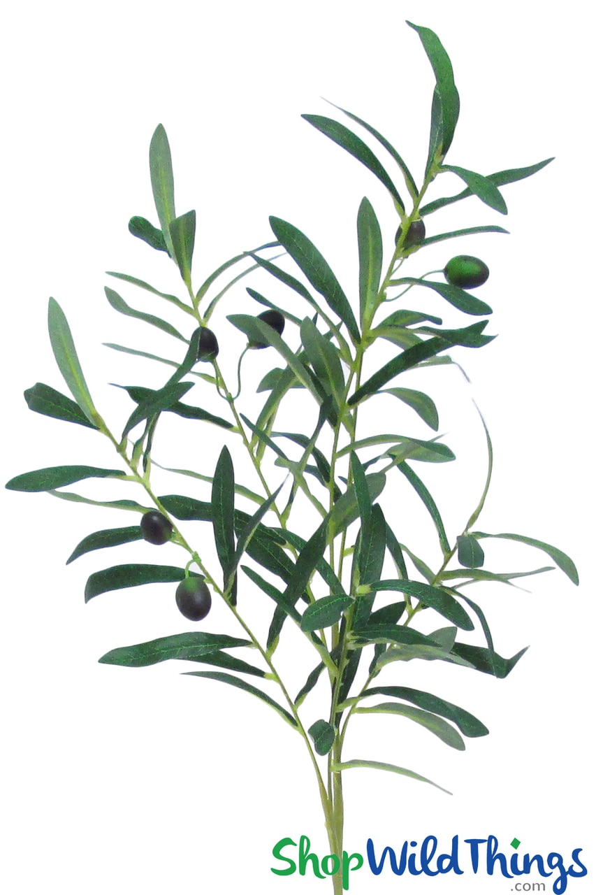 Green Olive Branches