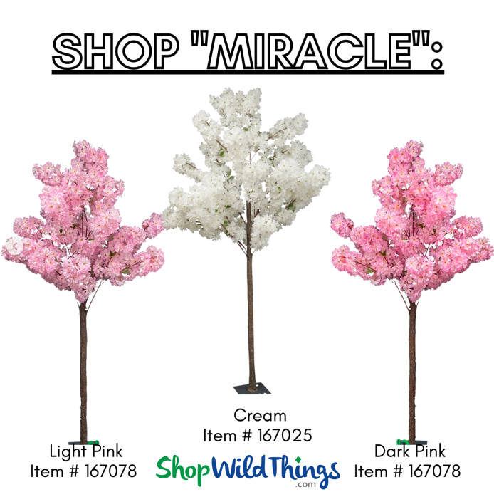 Link to Miracle Trees