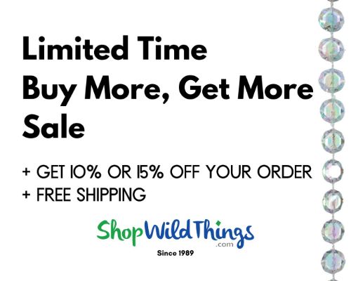 Link to Grand Chelsea