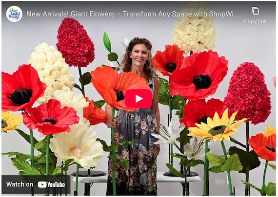 Poppy Video Screenshot