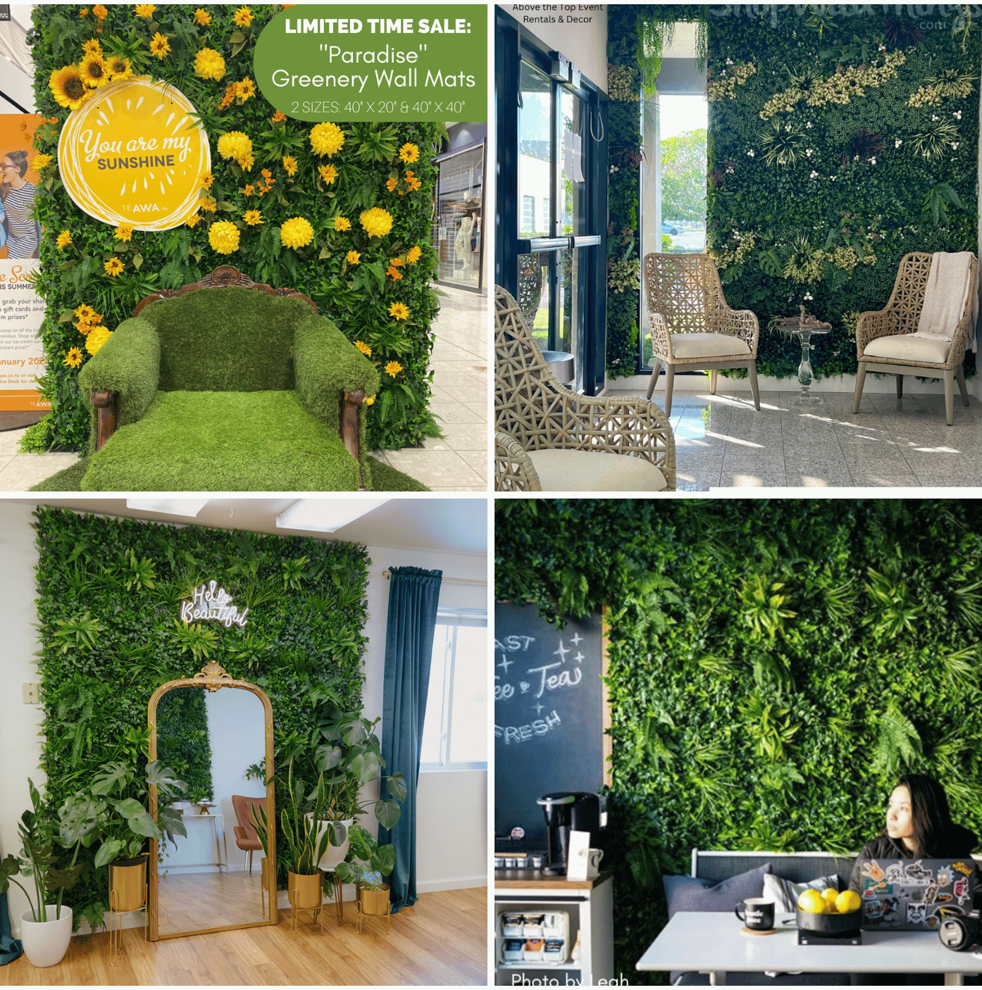 Limited Time Sale Link to Paradise Walls