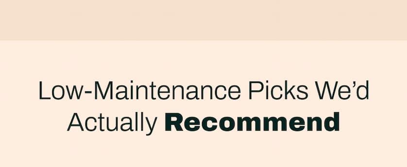 Low-Maintenance Picks We'd Actually Recommend