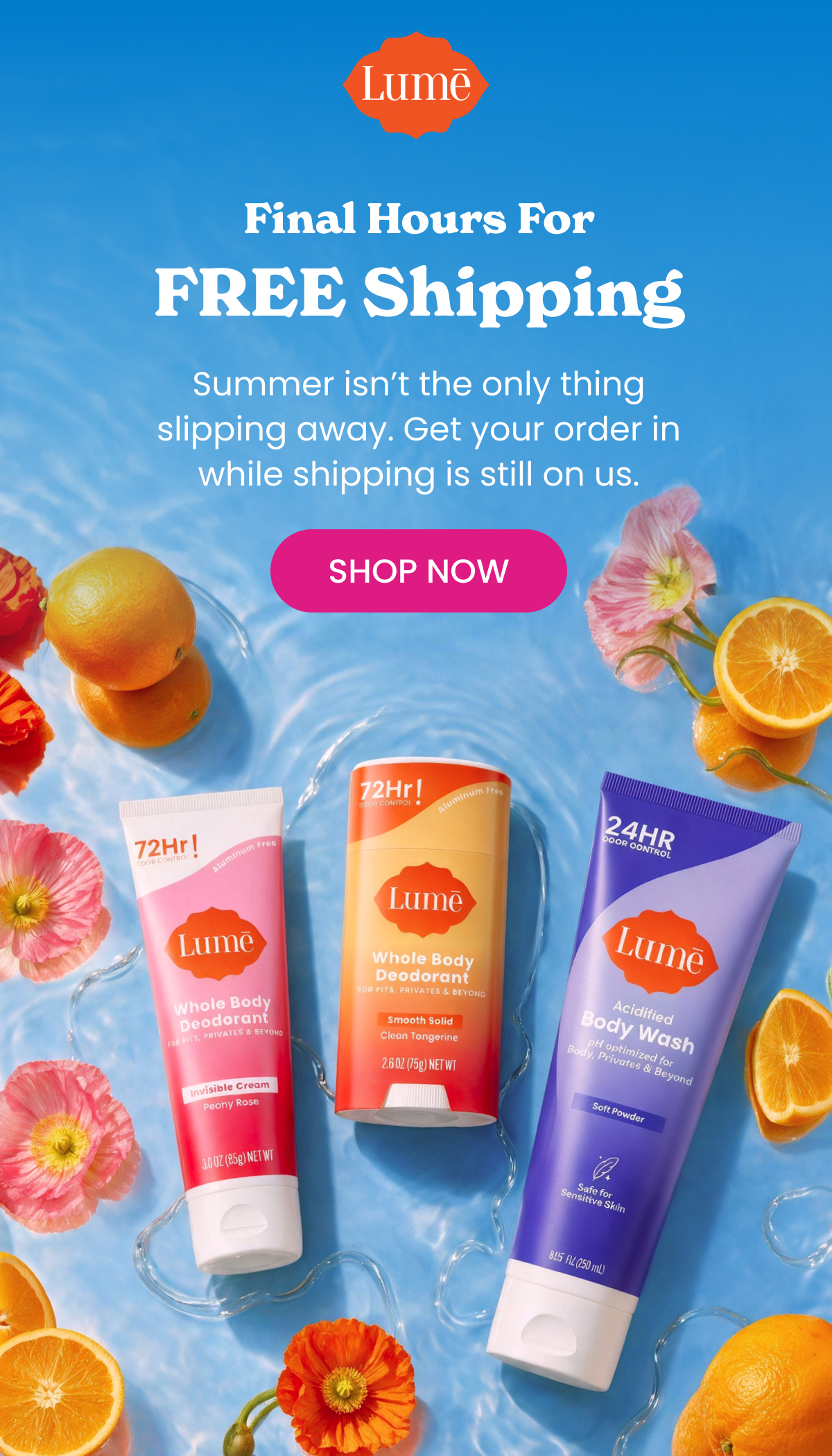 Final Hours For FREE Shipping | Shop Now