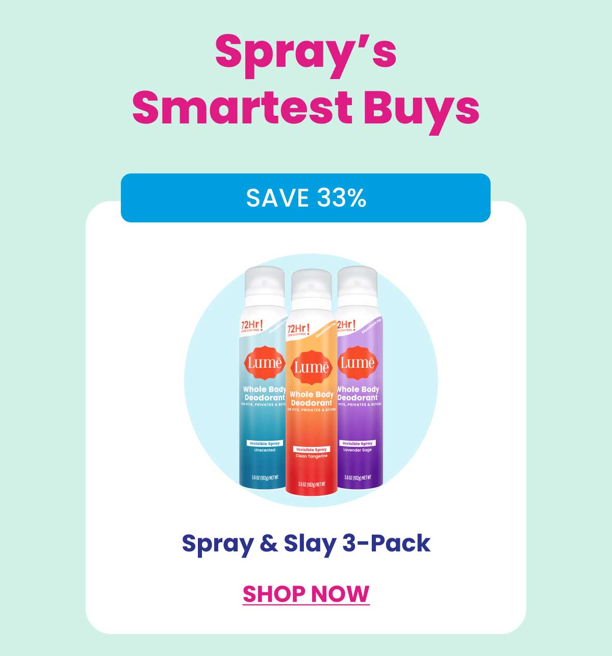 Spray & Slay 3-Pack