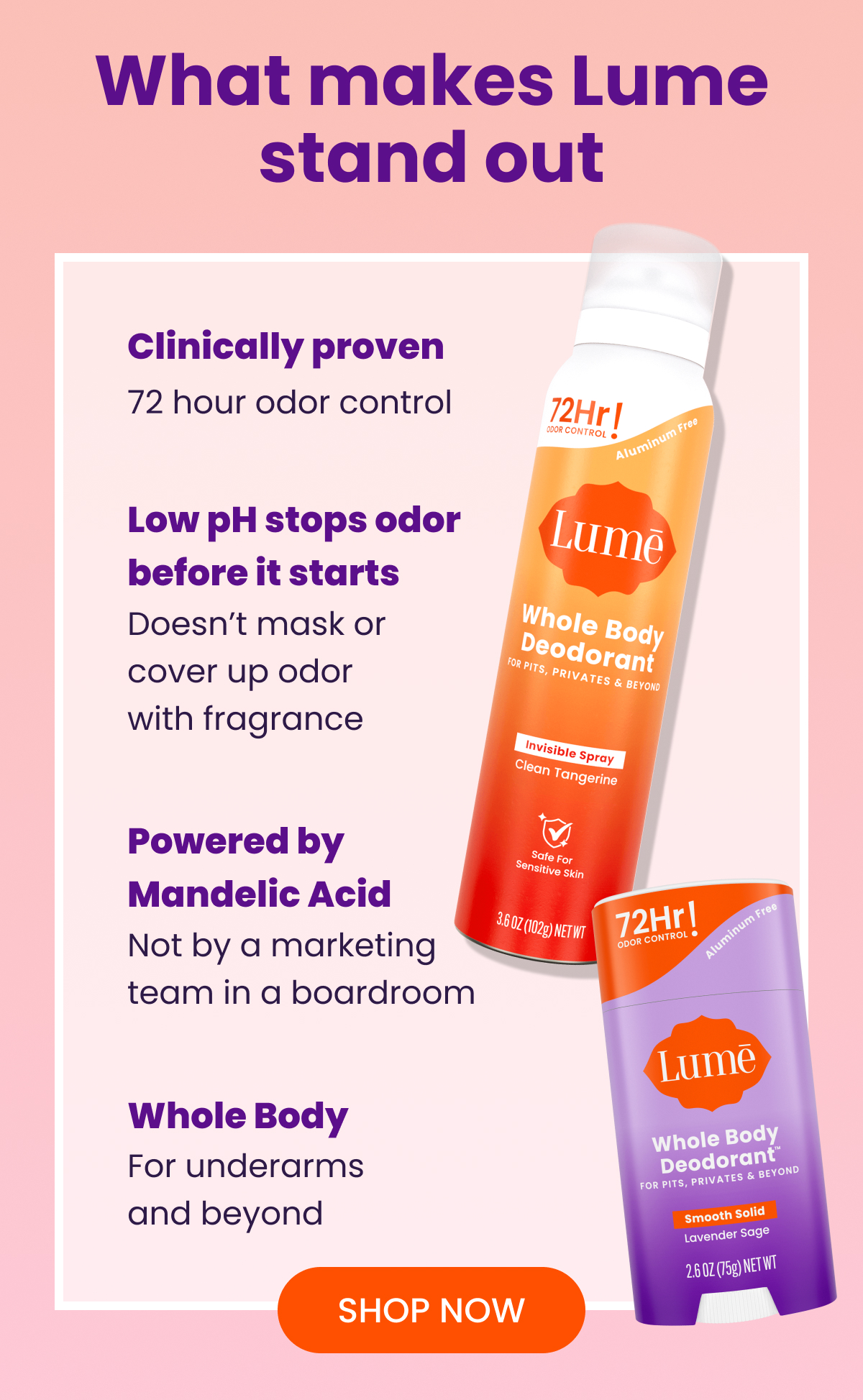 What makes Lume stand out