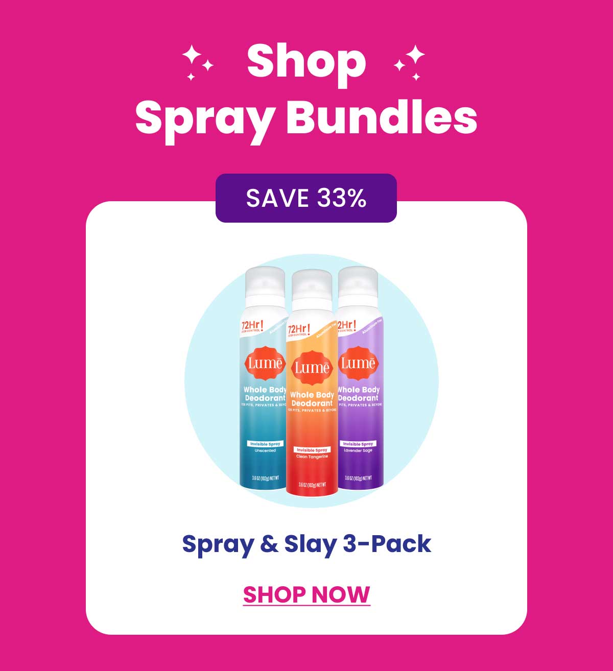 Spray & Slay 3-Pack
