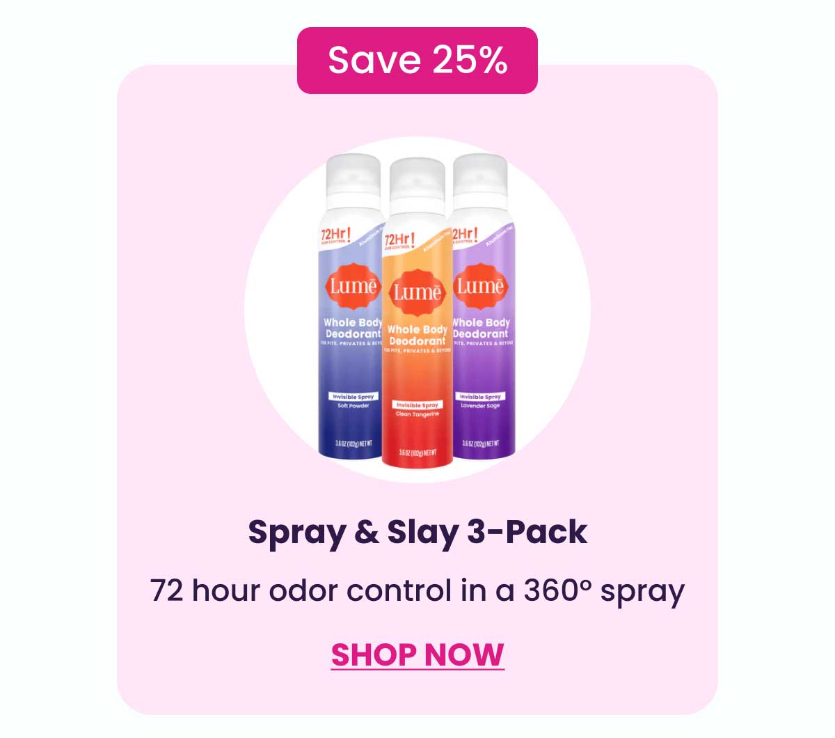 Spray & Slay 3-Pack