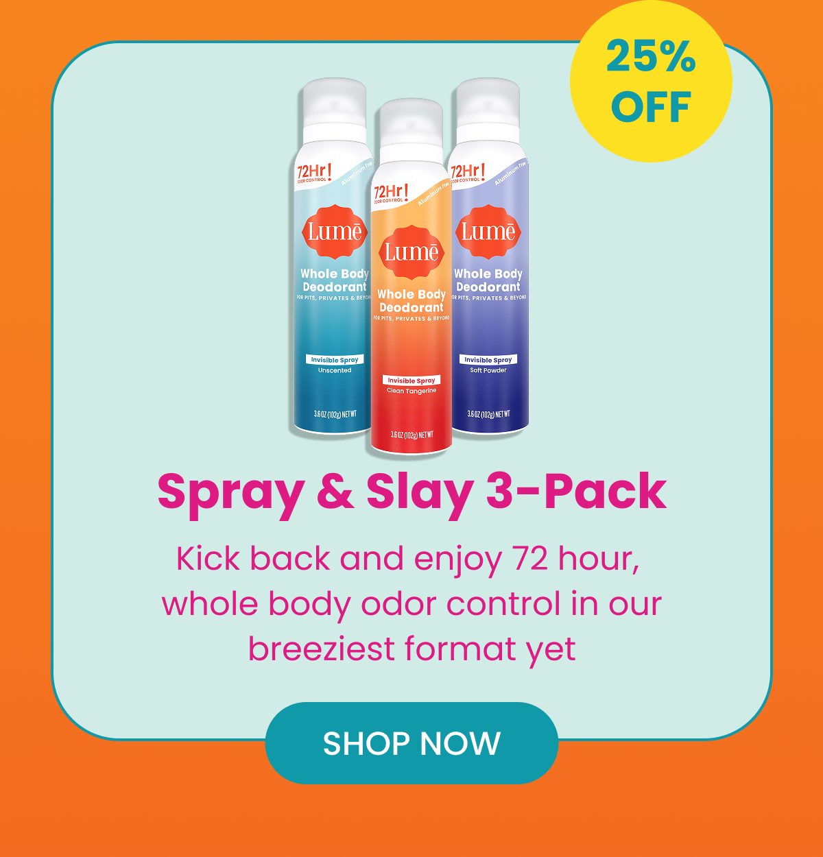 Spray & Slay 3-Pack