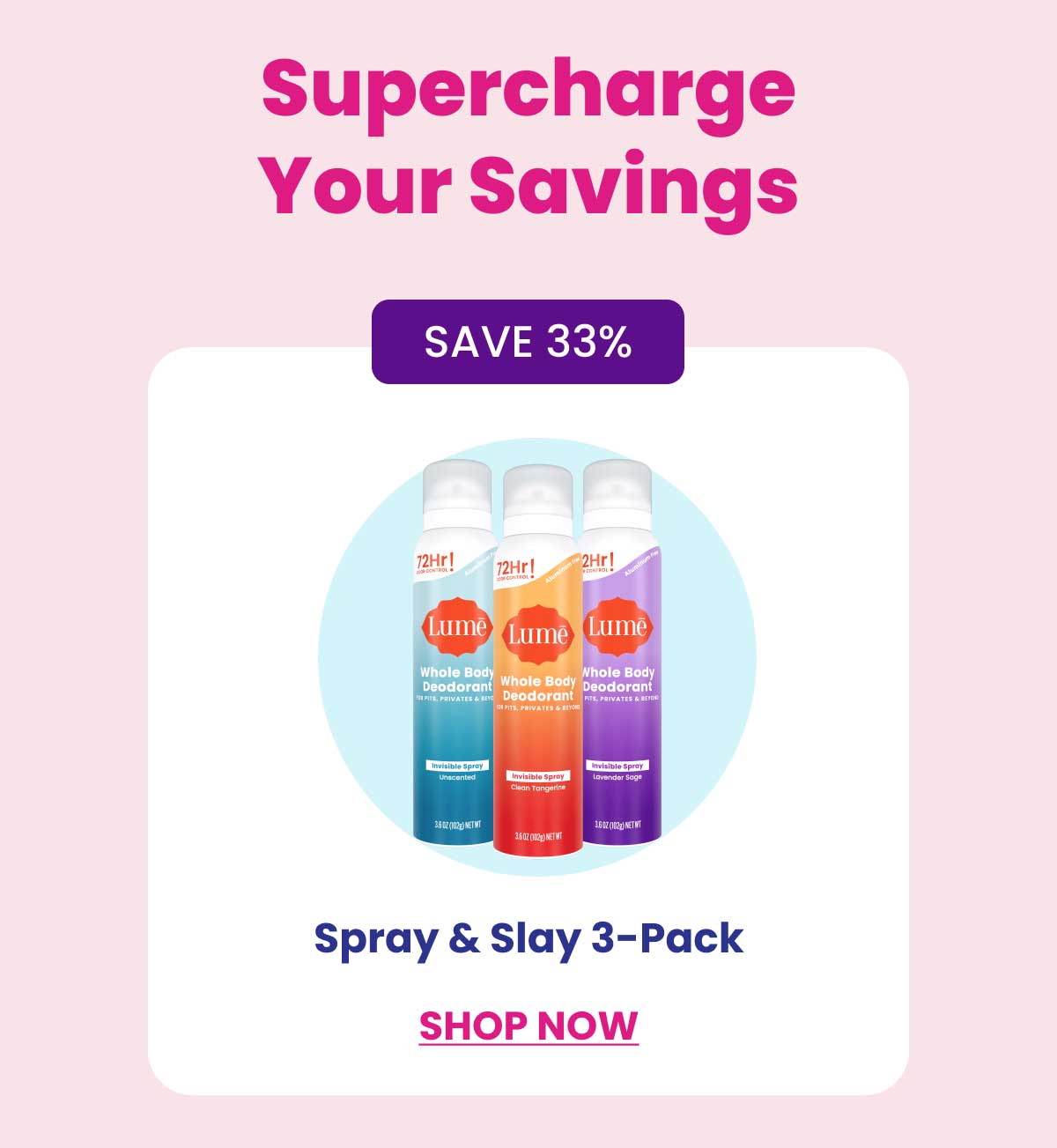 Spray & Slay 3-Pack
