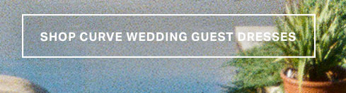 White framed text 'SHOP CURVE WEDDING GUEST DRESSES' on a blurry blue wall with green plants. Discover stylish plus size wedding guest dresses.