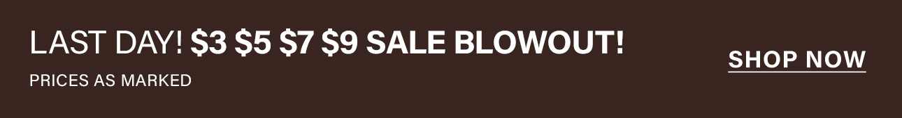 Dark banner announces "LAST DAY! $3 $5 $7 $9 SALE BLOWOUT! PRICES AS MARKED." Shop now for incredible last chance discounts.