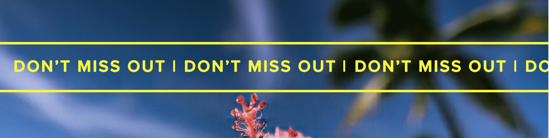 Yellow "Don't Miss Out" promo banner against a blue tropical sky with palm leaves and a pink hibiscus, highlighting a seasonal summer sale.