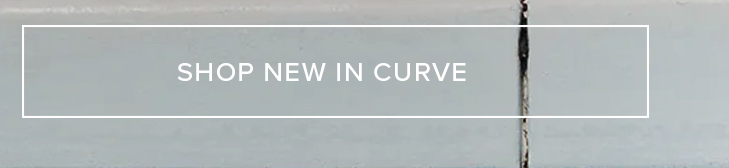 Light gray banner with white "SHOP NEW IN CURVE" text on a textured, light grey wall with a dark vertical line. Explore new plus size fashion.