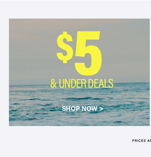 Bright yellow "$5 & Under Deals" text over a serene blue ocean and grey sky. White "Shop Now" button for affordable sale items.