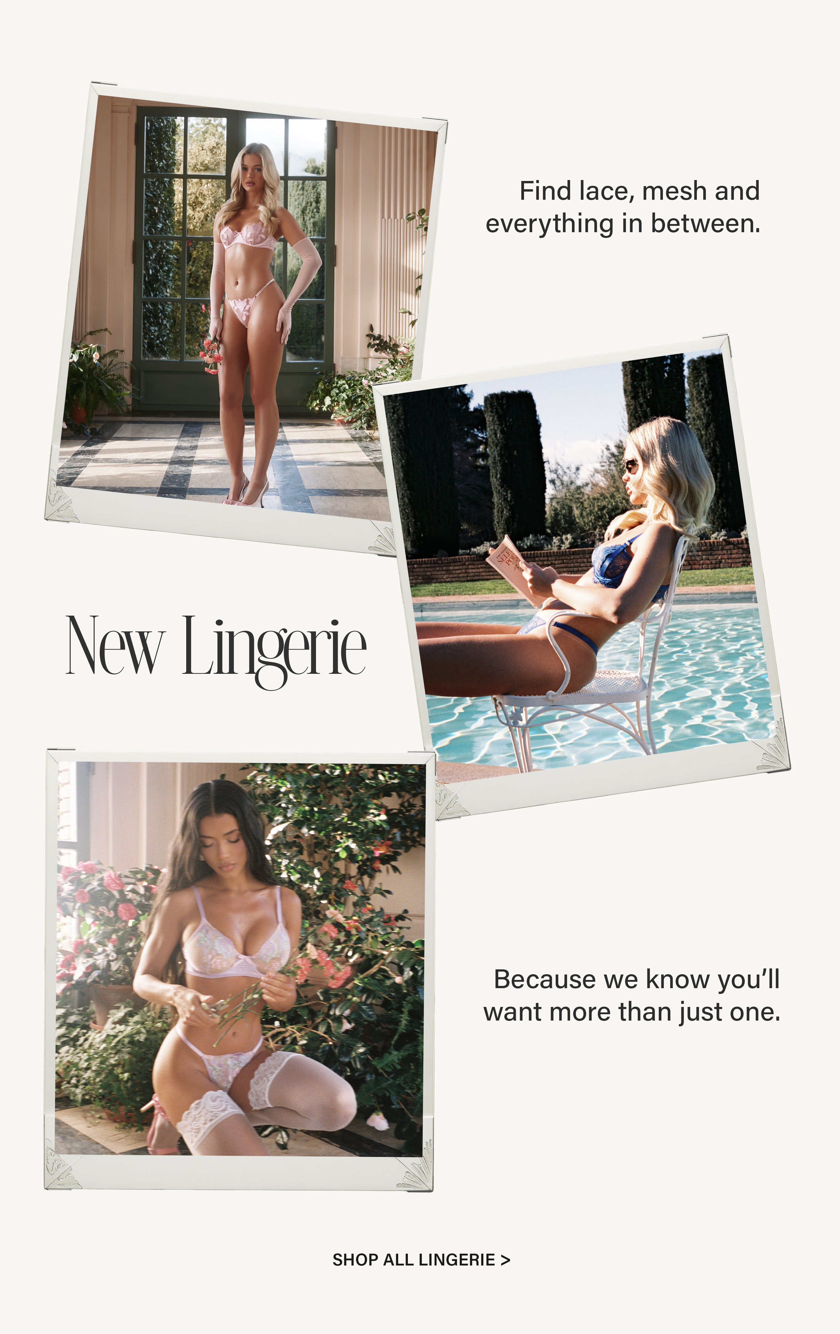 New lingerie collection featuring models in diverse lace and mesh designs: pink, blue, and lavender bralettes, panties, and stockings.