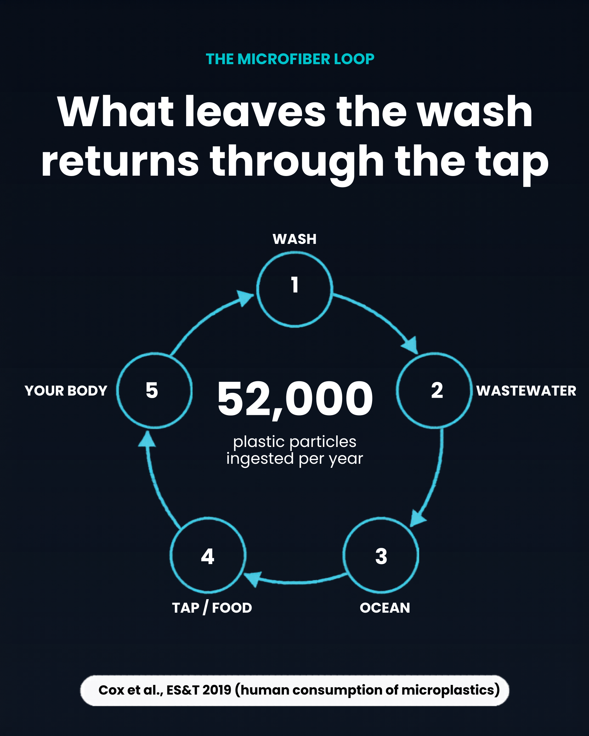 The microfiber loop - what leaves the wash returns through the tap - 52,000 plastic particles ingested per adult per year - Source: Cox et al., Environmental Science and Technology, 2019
