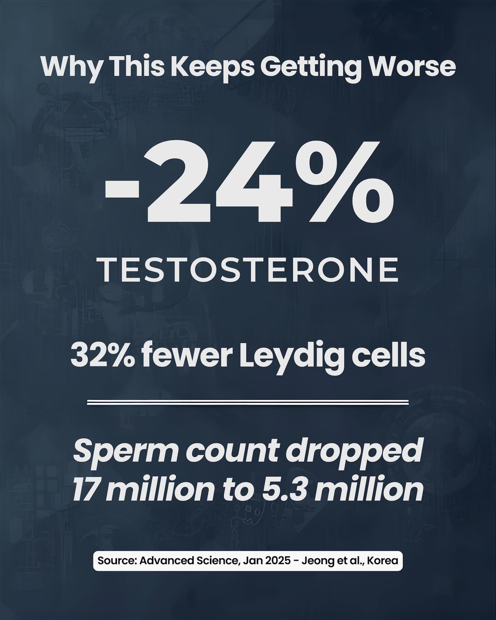 -24% Testosterone - Source: Advanced Science, January 2025