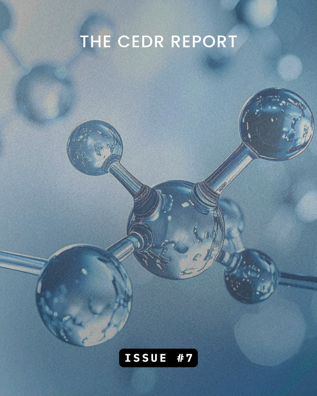 The CEDR Report - Issue #7