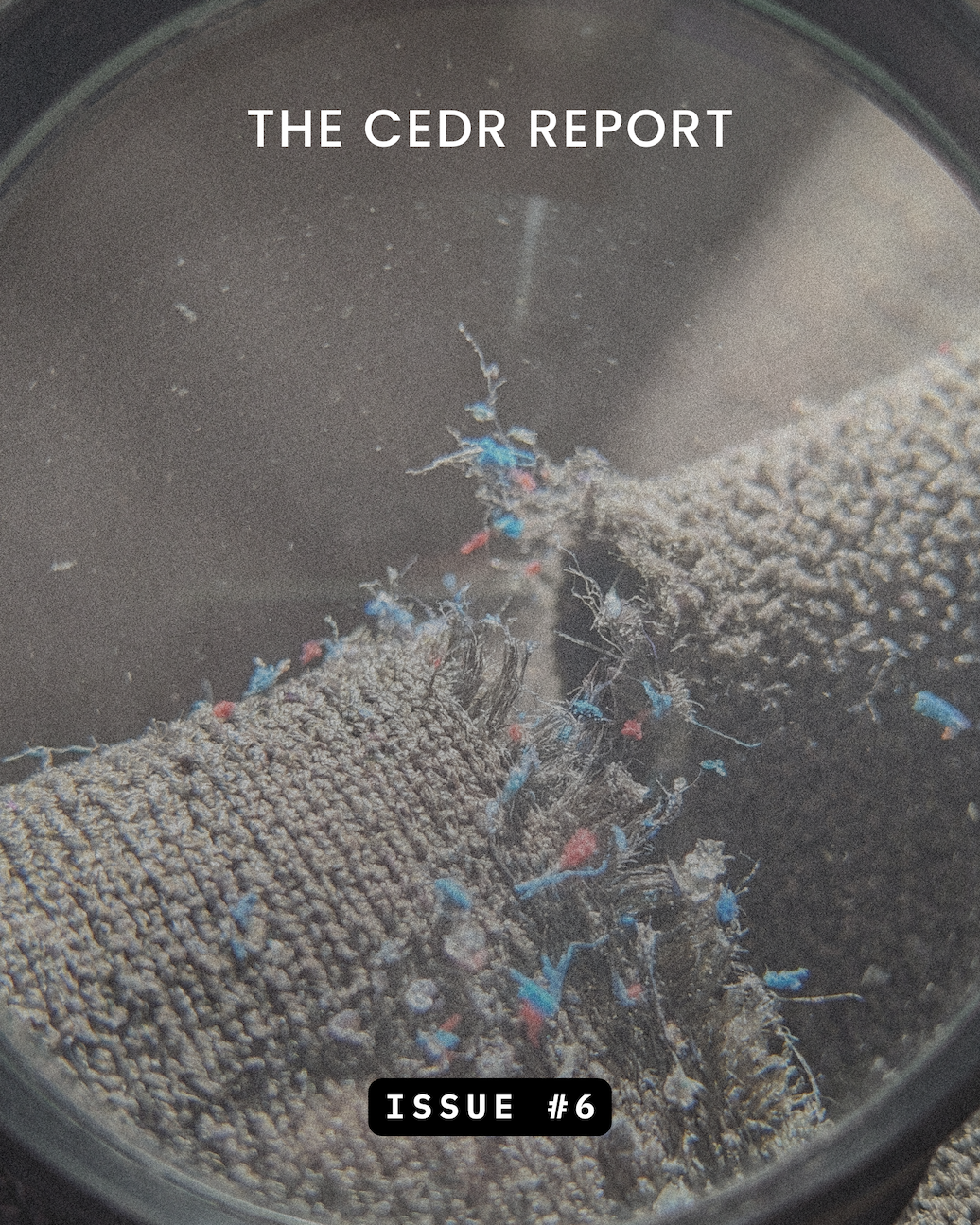The CEDR Report - Issue #6