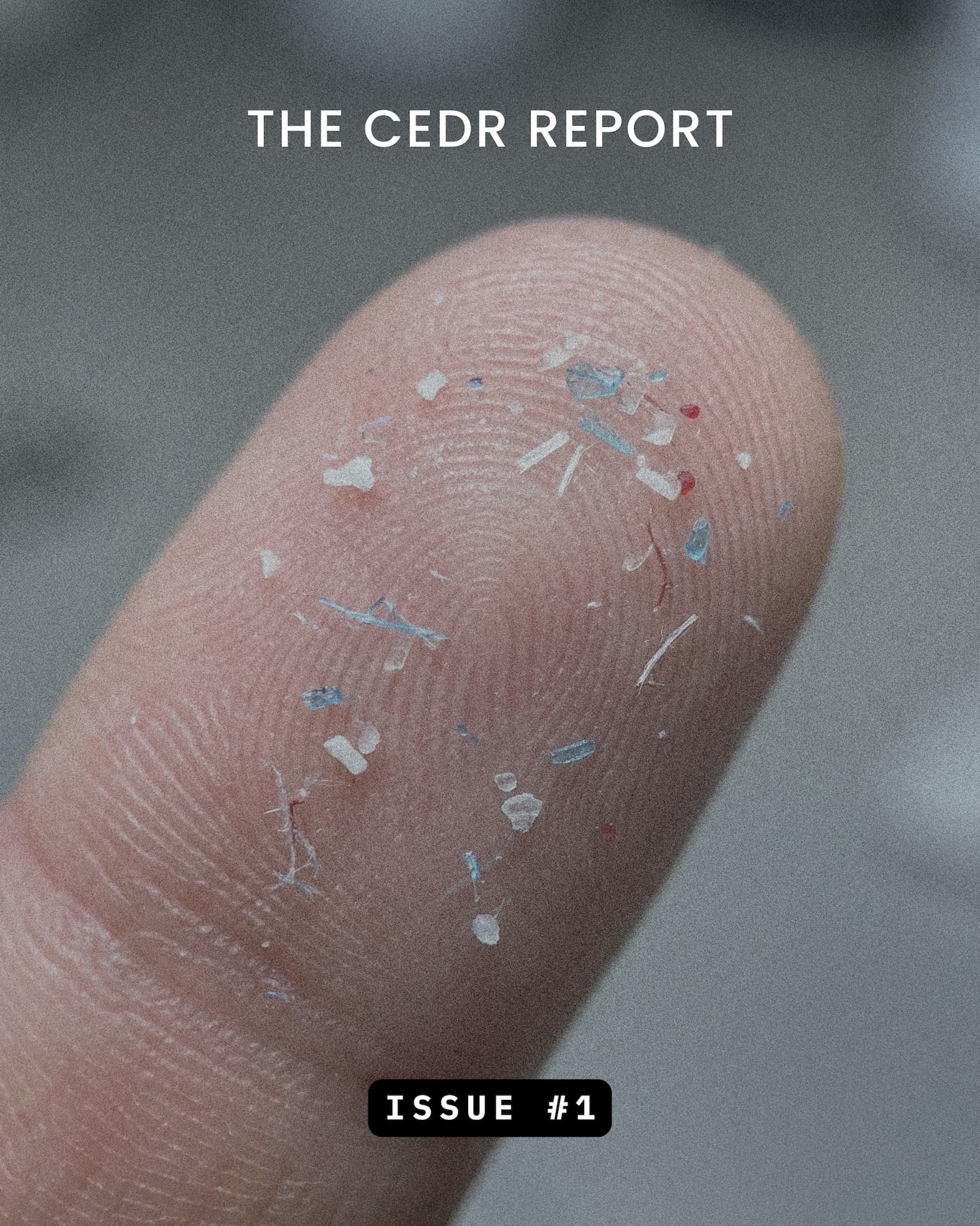 The CEDR Report - Issue #1