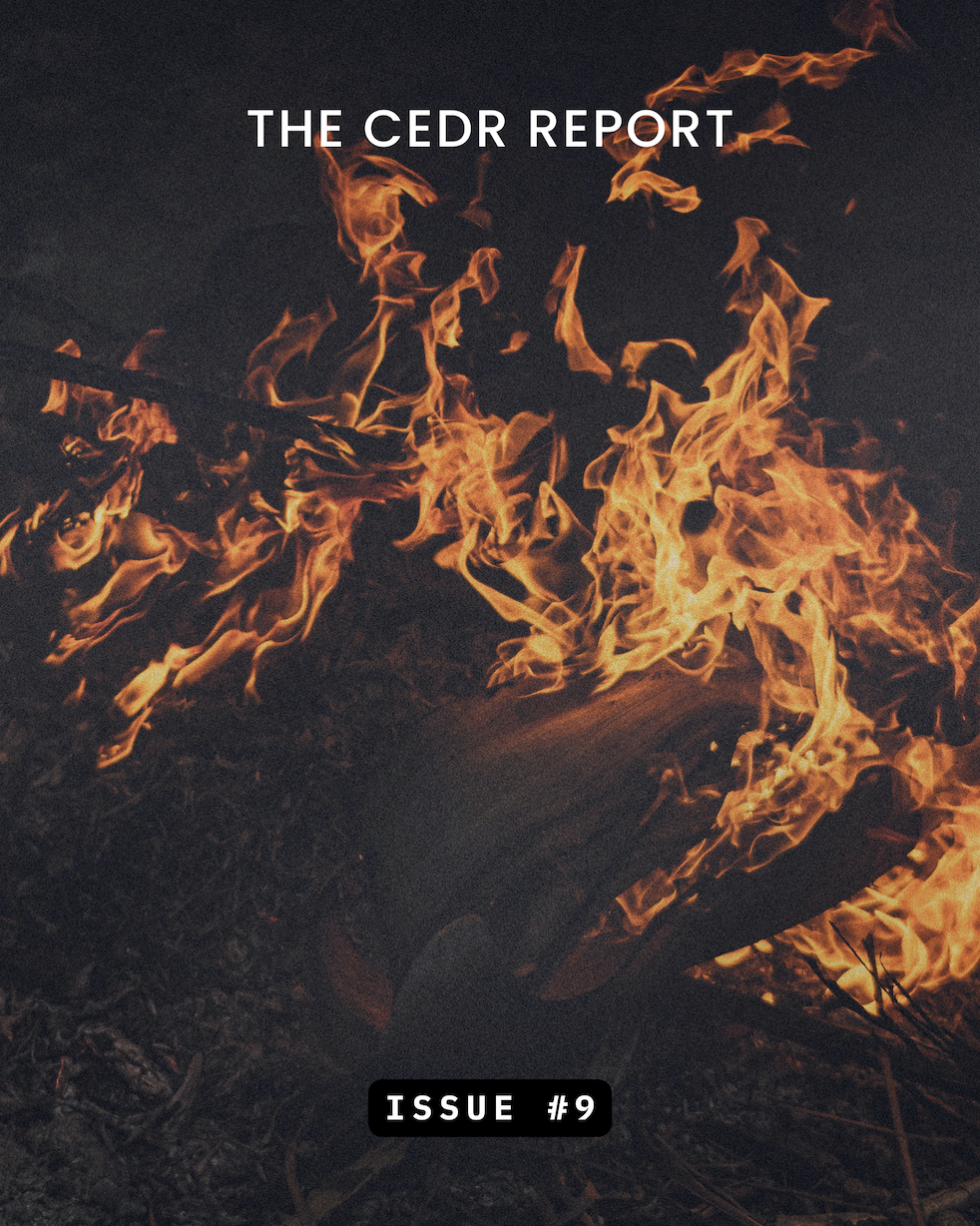 The CEDR Report Issue 9 - Polyester adds 1 degree of heat to the scrotum, sperm count drops 40 percent