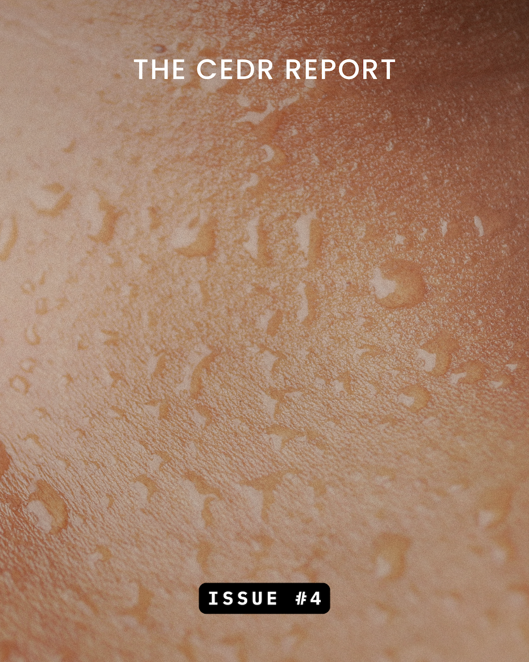 The CEDR Report - Issue #4