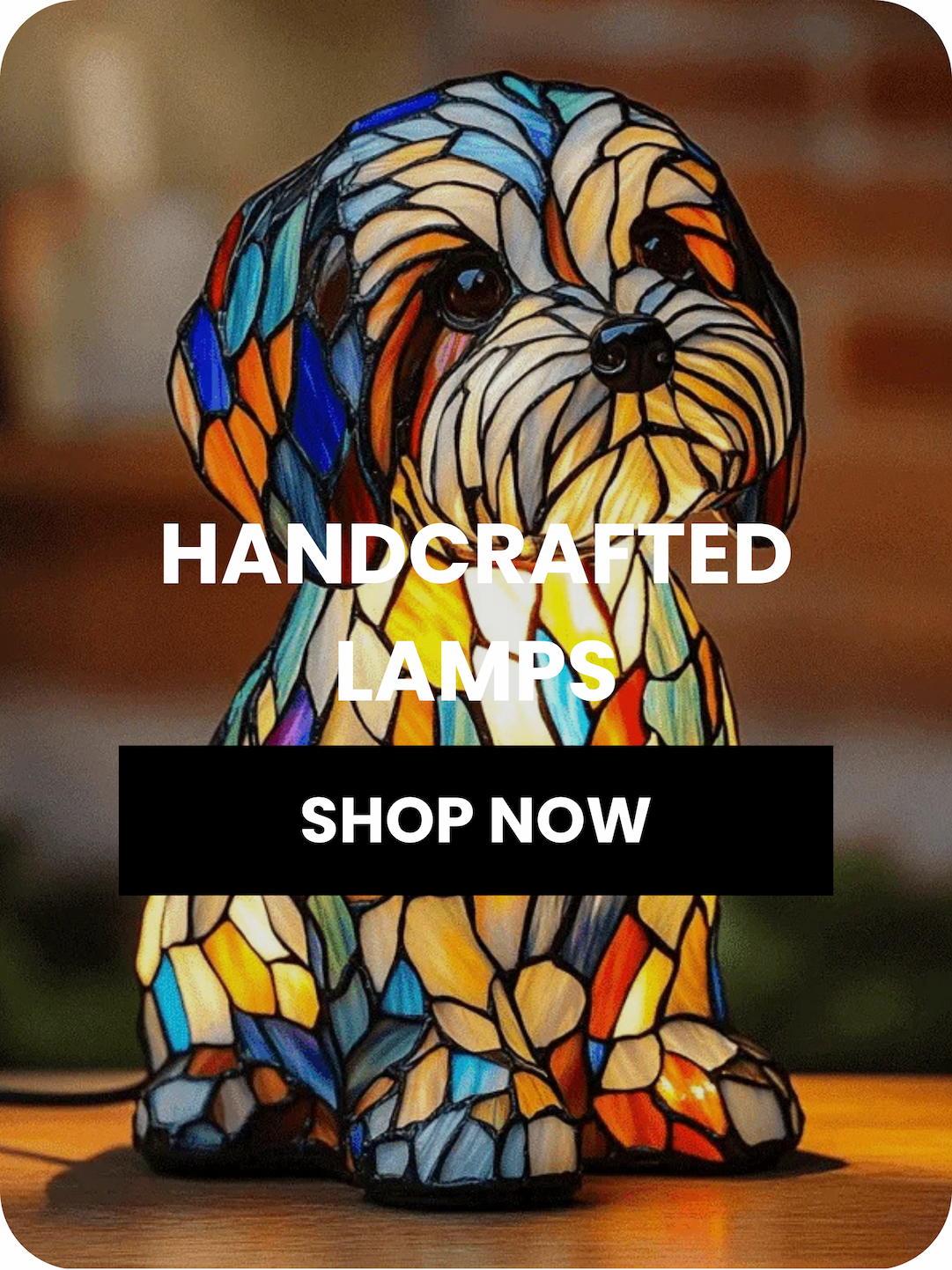 Shop now