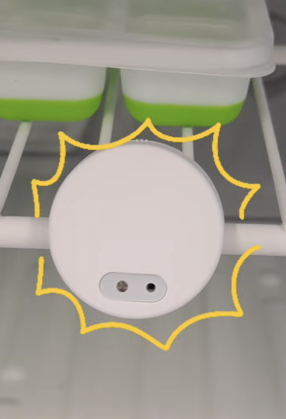 Fridge monitoring in the Pila App
