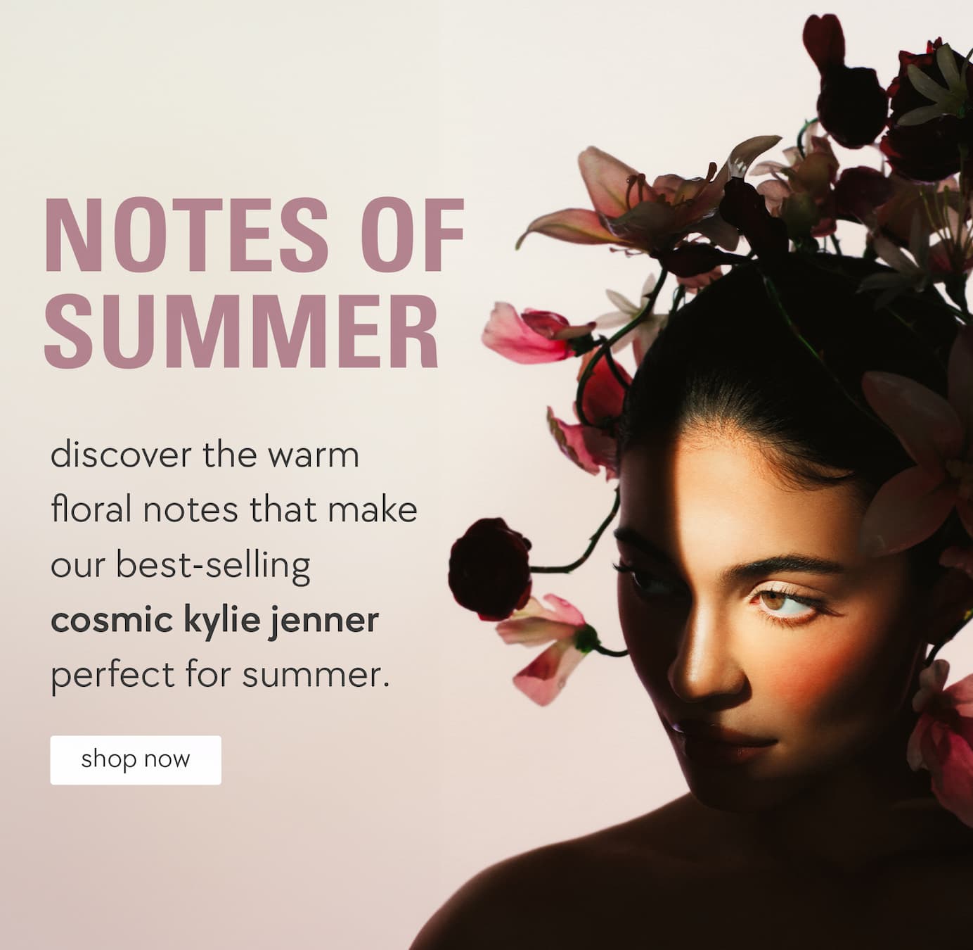 notes of summer